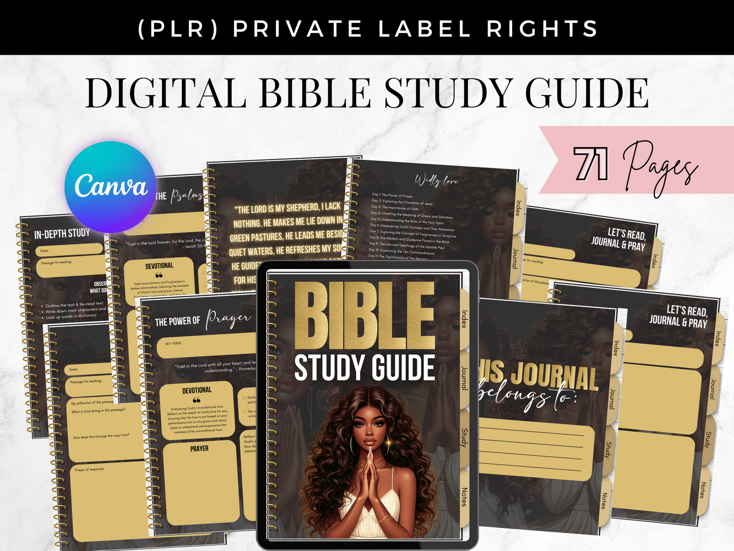 PLR Digital Bible Study Guide Journal