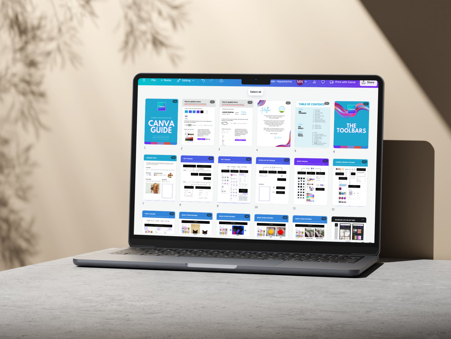 Ultimate Canva Mastery Guide (With Master Resell Rights