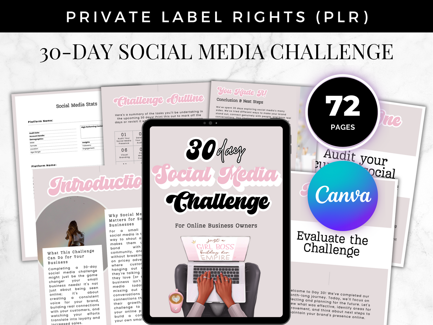 PLR 30 Days Social media challenge for online business ebook