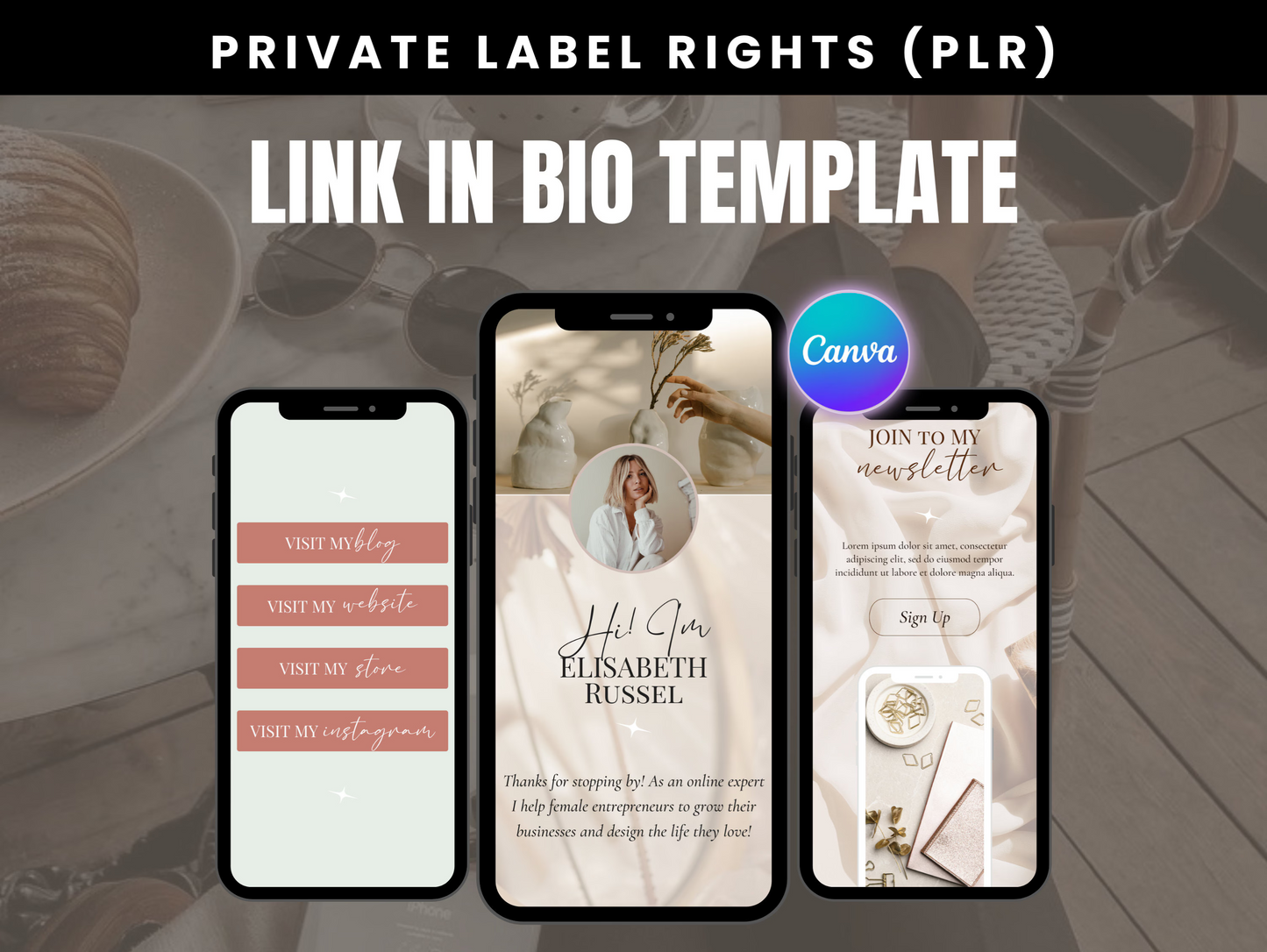 PLR Instagram Bio Link Website Template