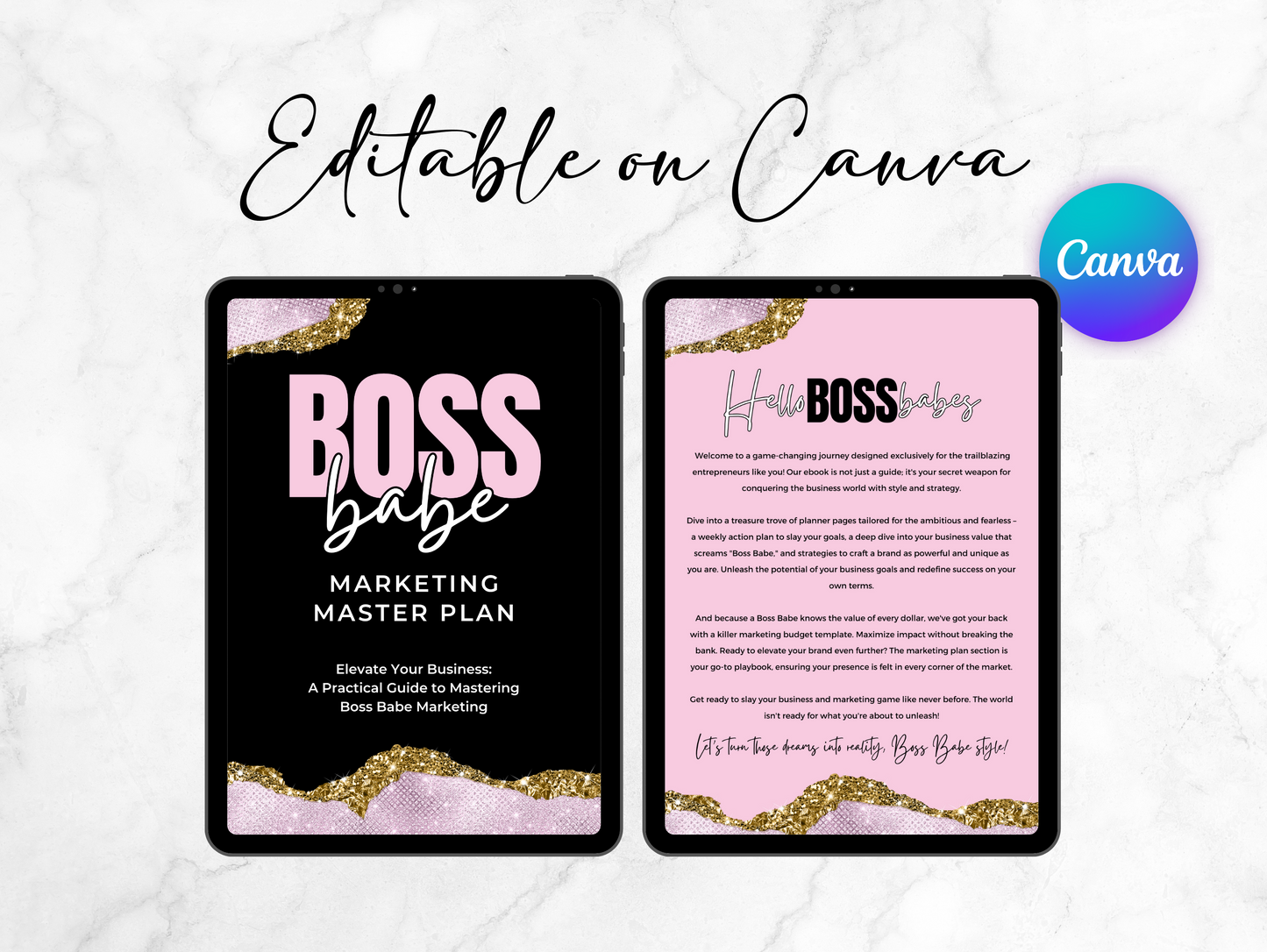 PLR Marketing Master plan ebook