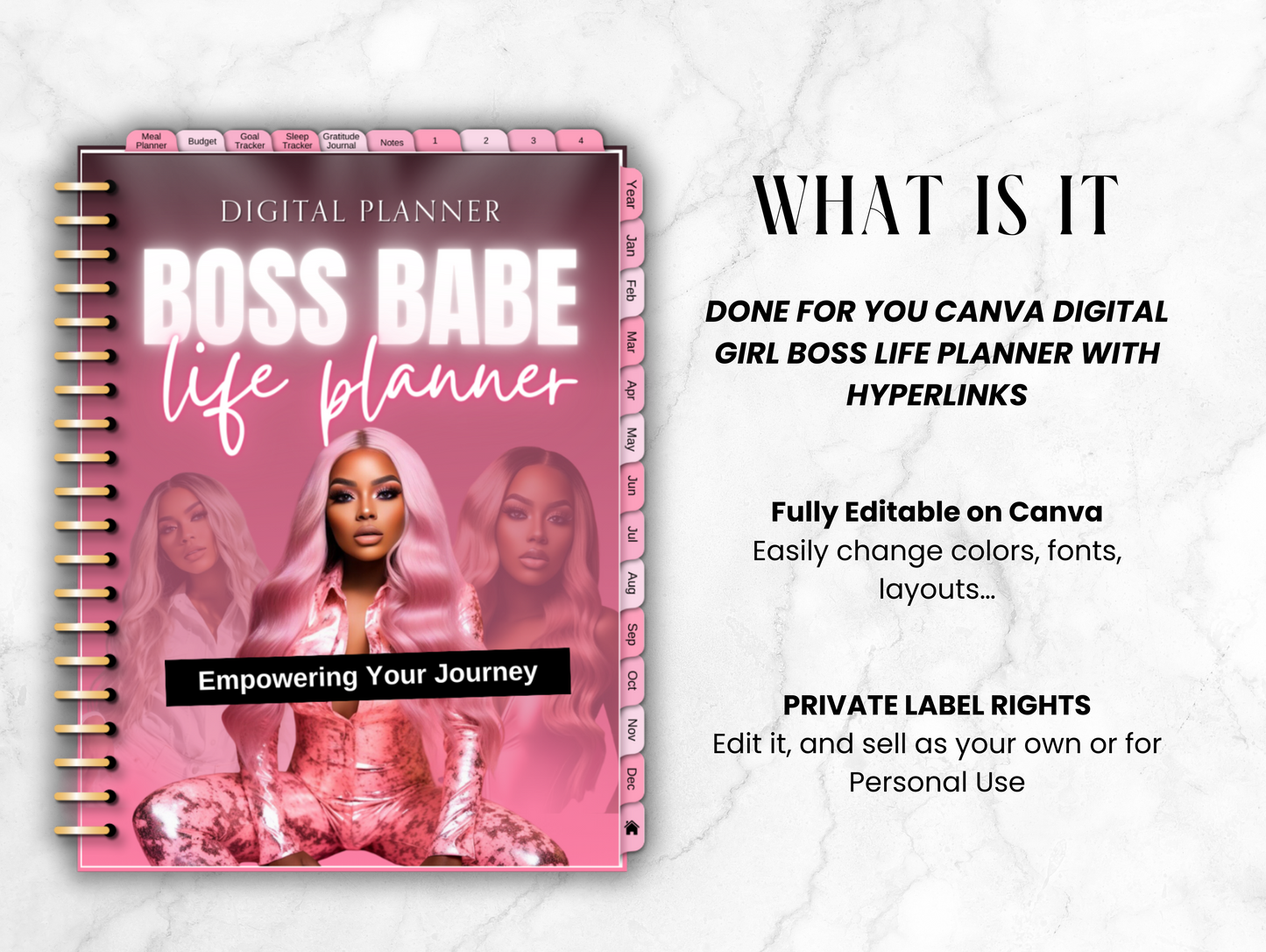 PLR Girl boss digital life planner