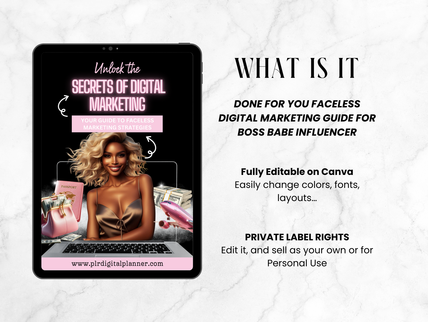 PLR Faceless Digital Marketing Guide