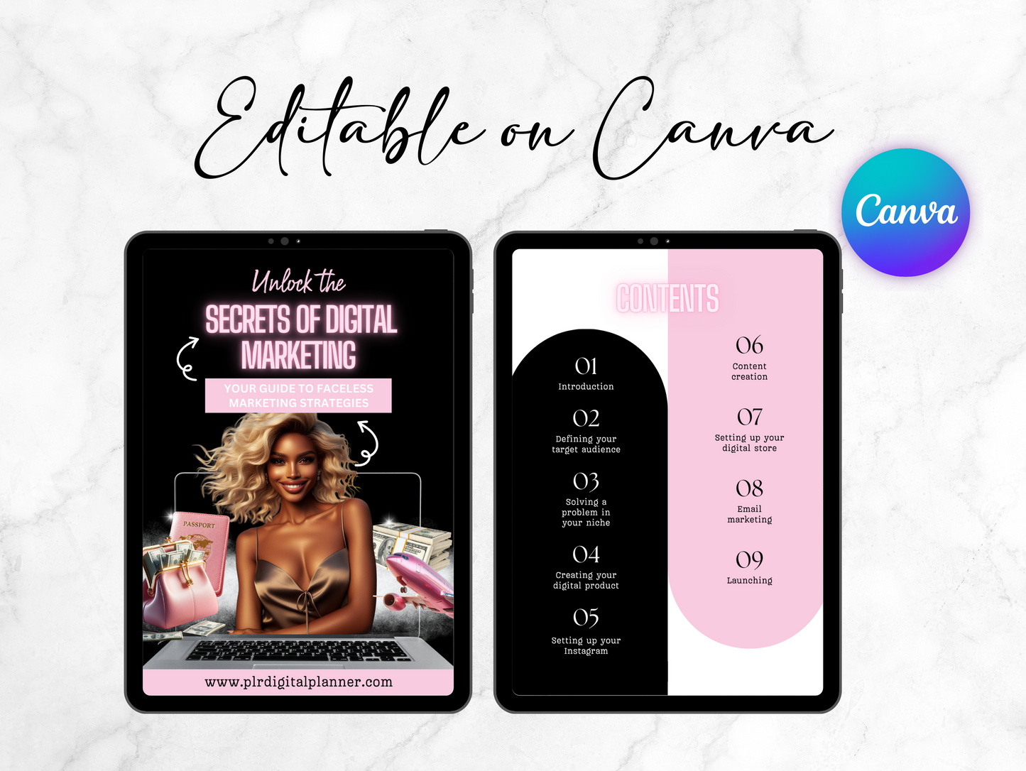 PLR Faceless Digital Marketing Guide