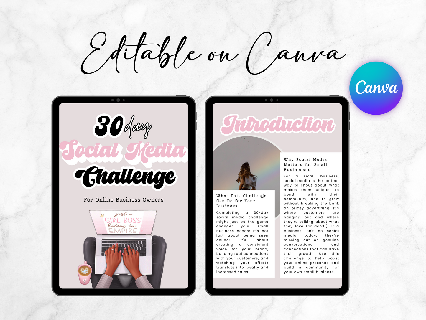 PLR 30 Days Social media challenge for online business ebook