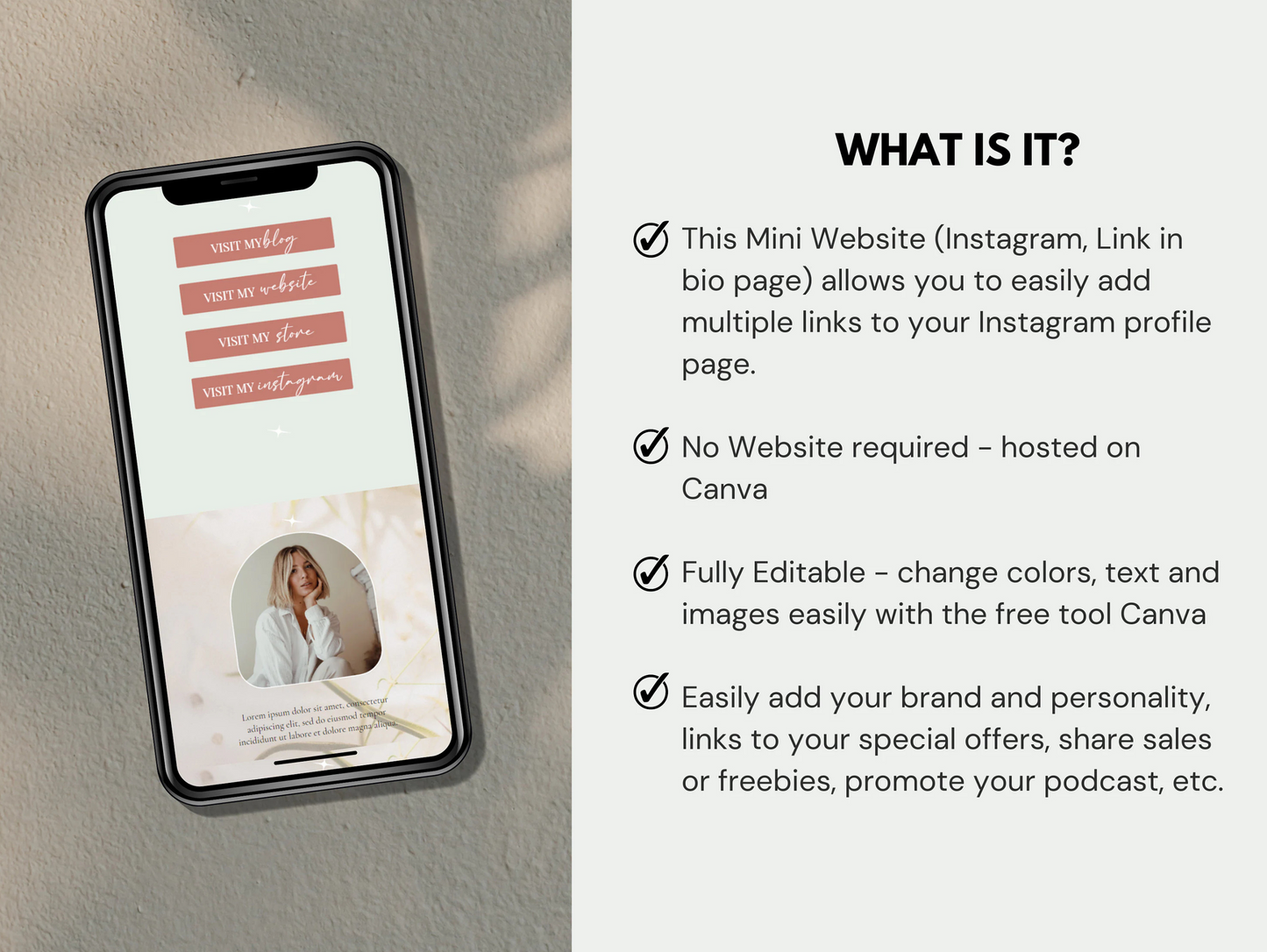 PLR Instagram Bio Link Website Template
