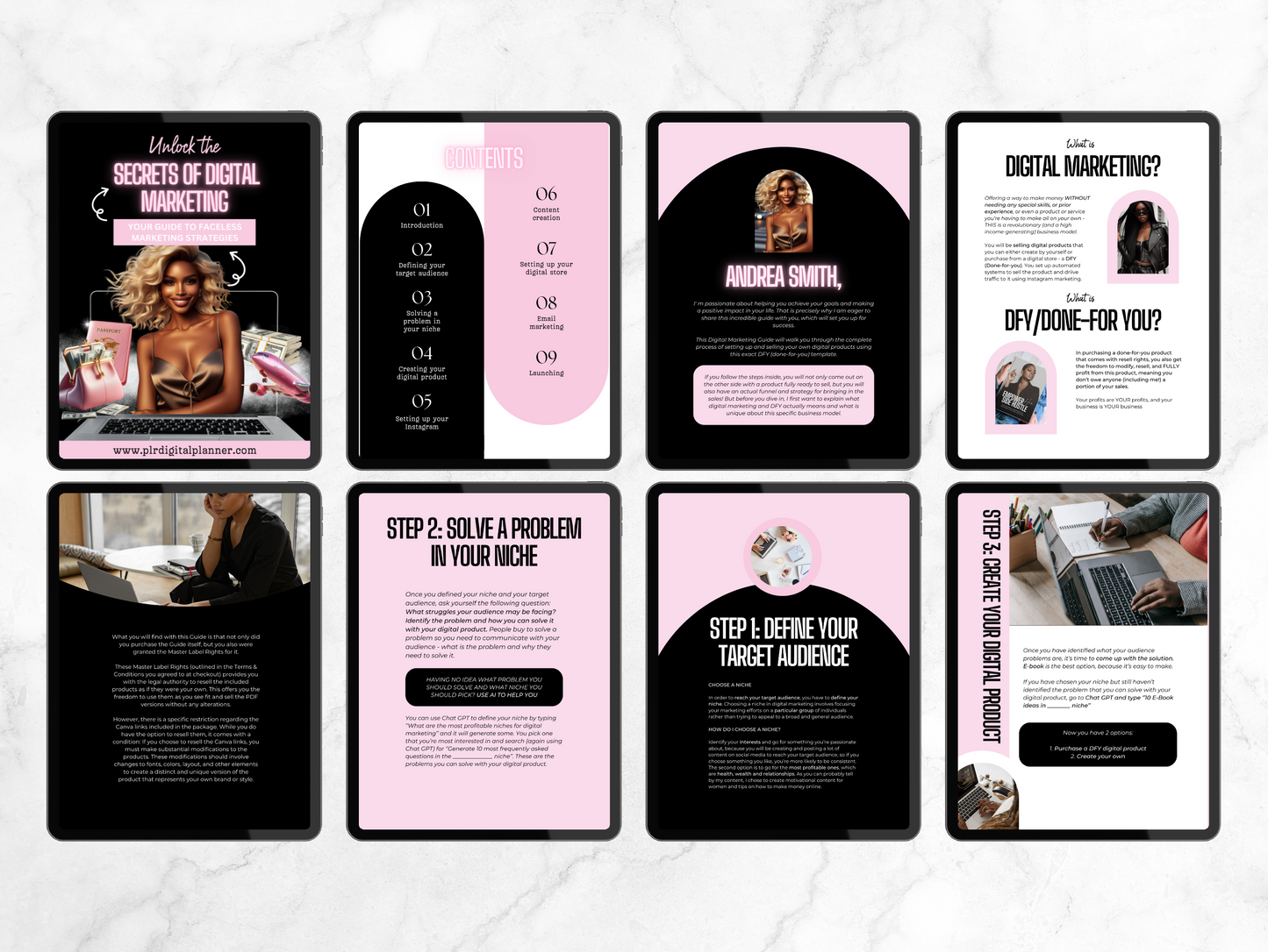 PLR Faceless Digital Marketing Guide