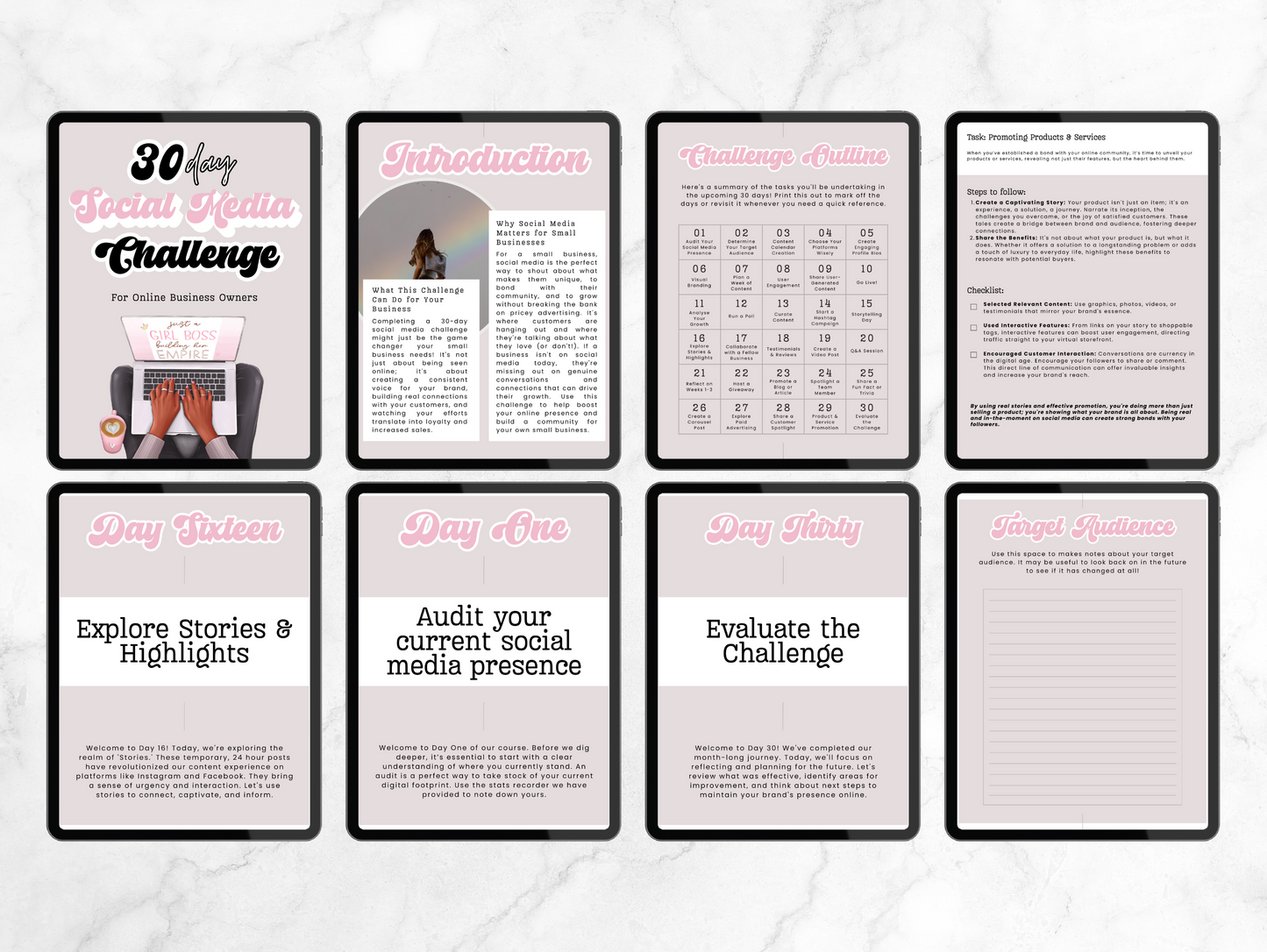 PLR 30 Days Social media challenge for online business ebook