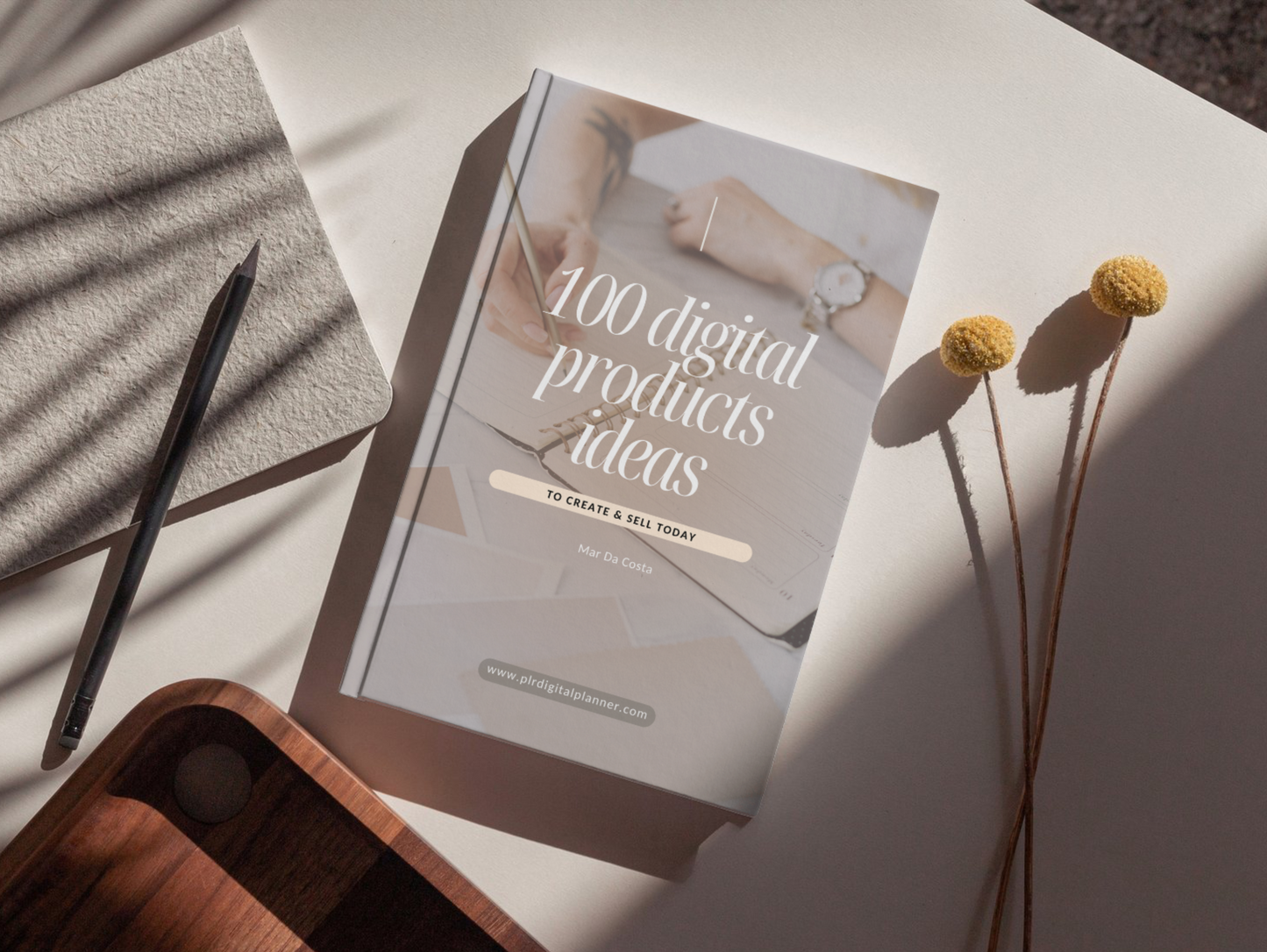 Master Resell Rights Guide: 100 Digital Products Ideas to create and sell today