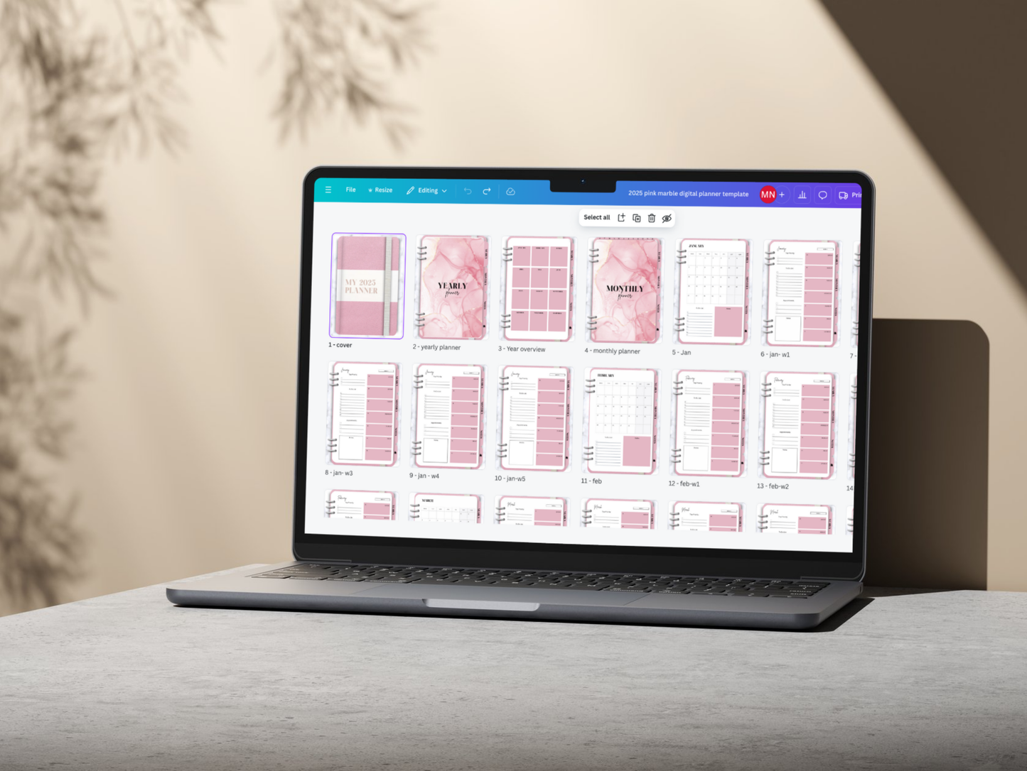 PLR 2025 Realistic Digital Planner