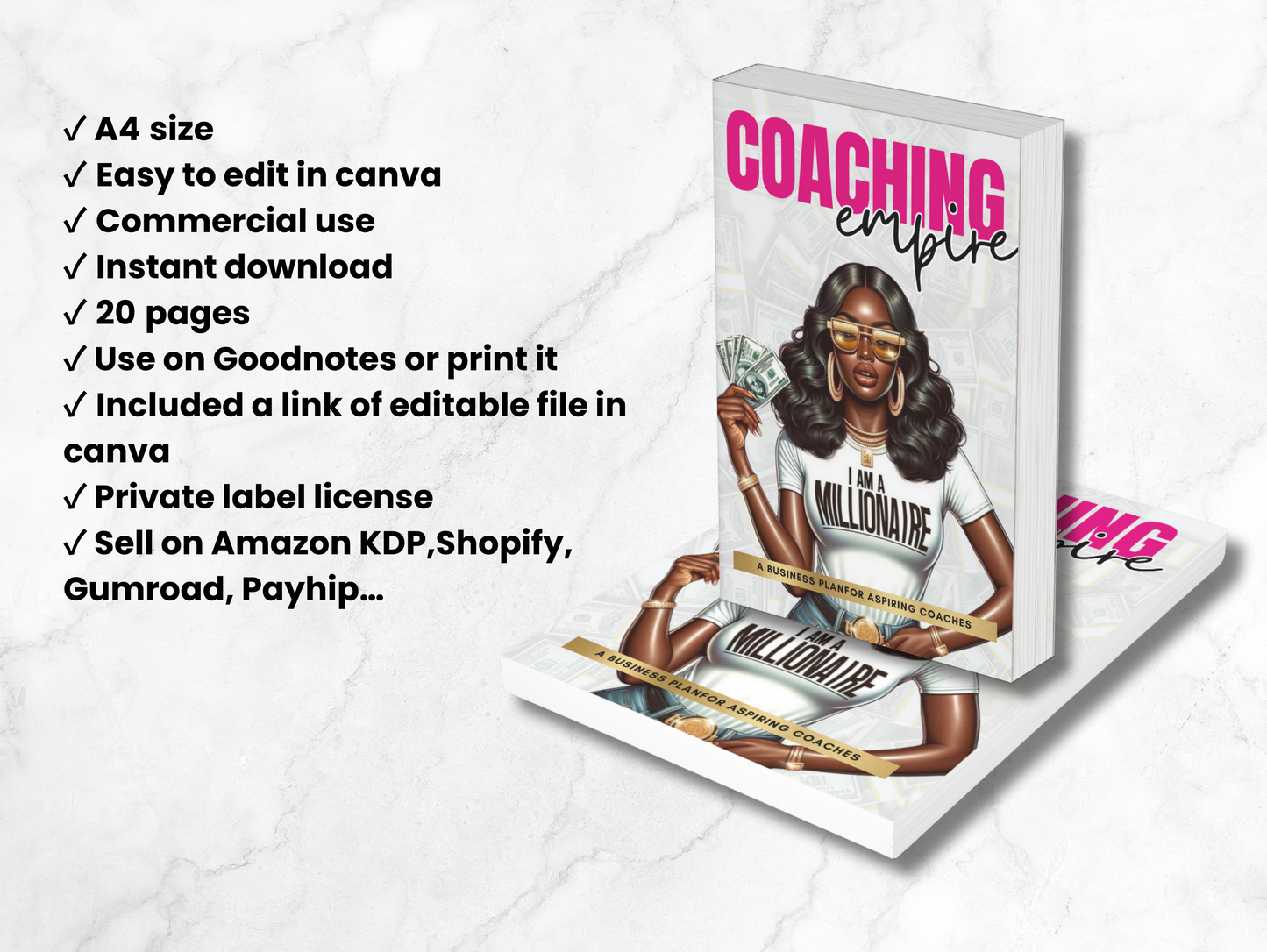 PLR Coaching Business Plan