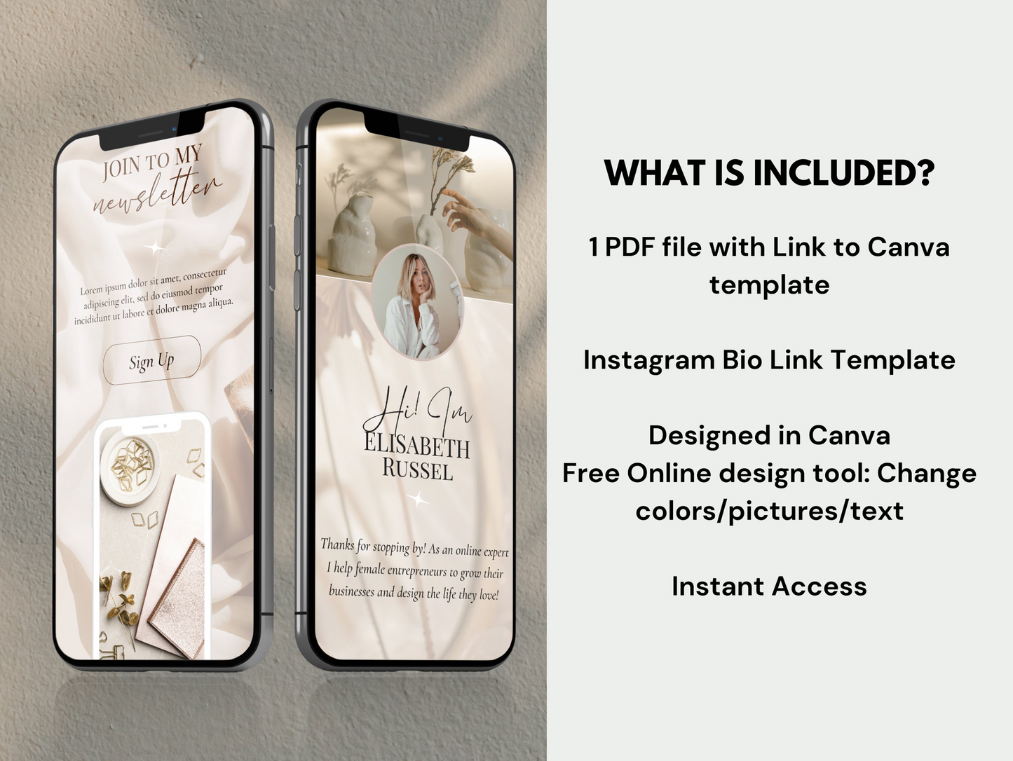 PLR Instagram Bio Link Website Template