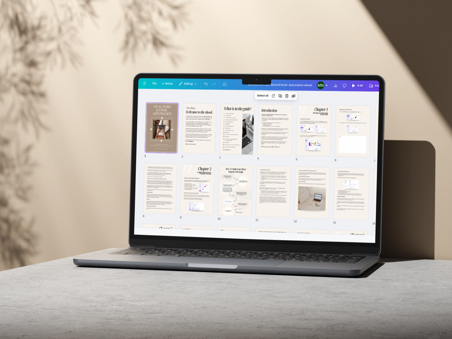 MRR Stan Store & Email Automation ebook