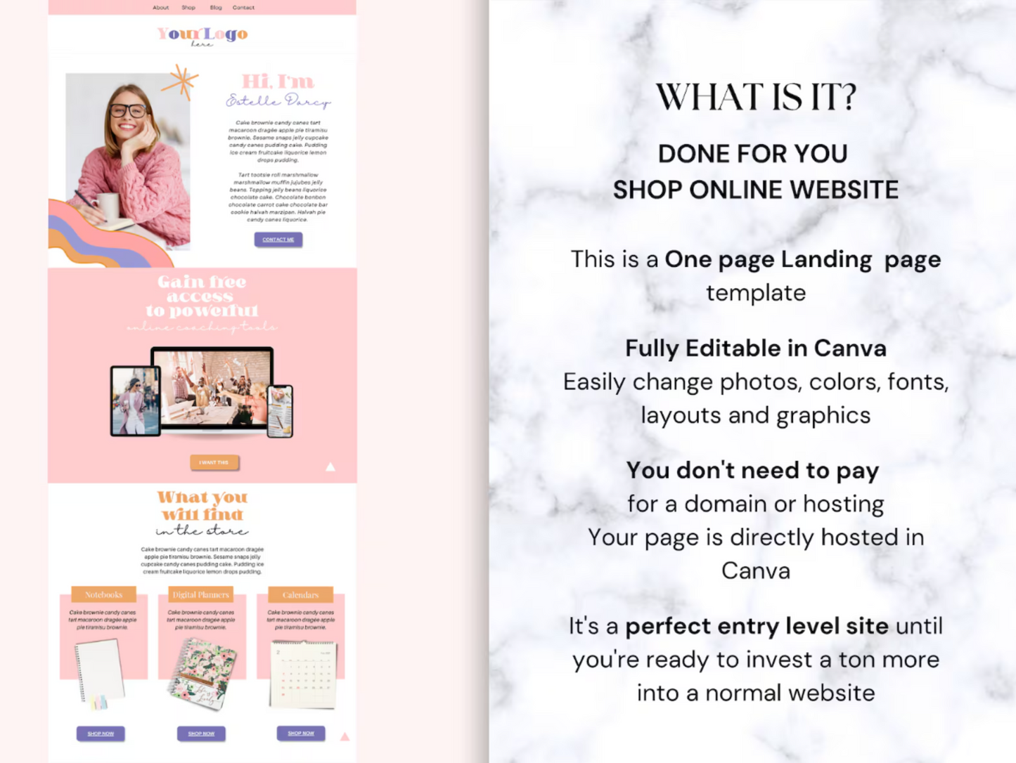 PLR Canva Website Blog template