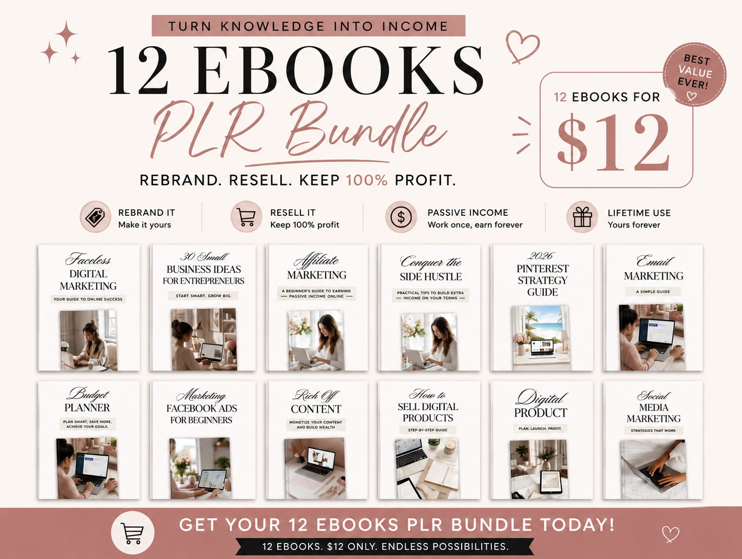The $12 Lifetime Deal