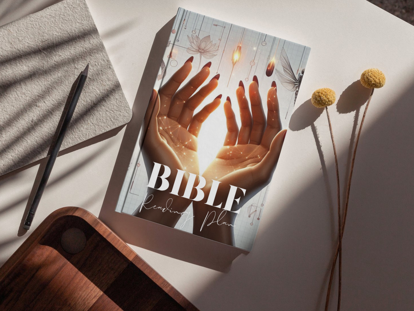 PLR Bible Reading Plan Journal