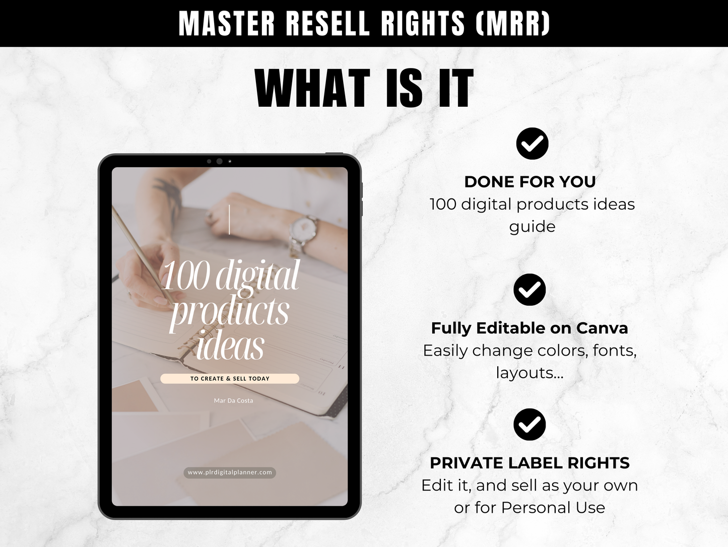 Master Resell Rights Guide: 100 Digital Products Ideas to create and sell today