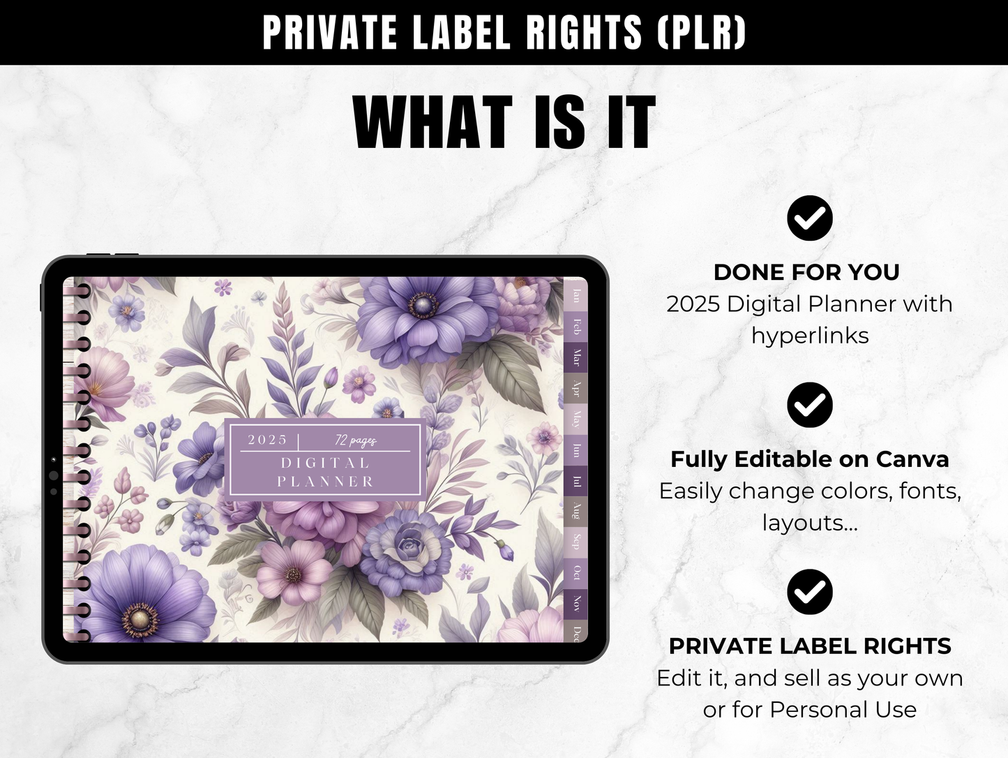 PLR 2025 Digital Planner