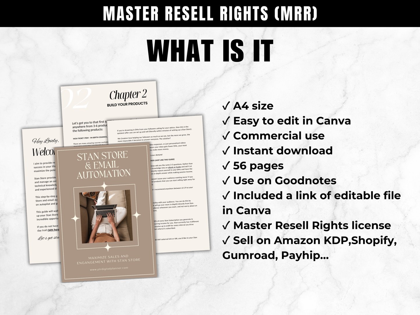 MRR Stan Store & Email Automation ebook