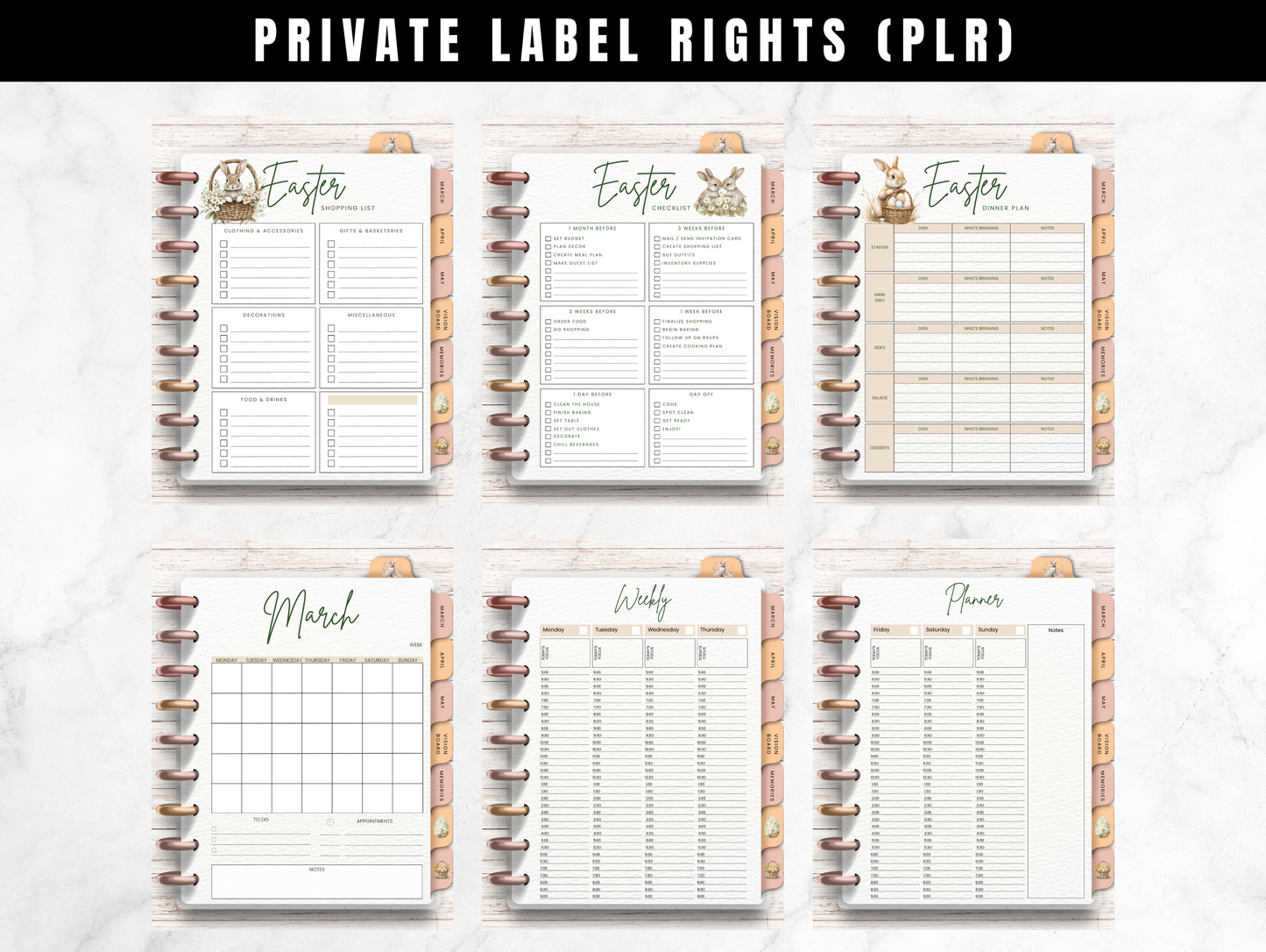 PLR Spring Canva Digital Planner