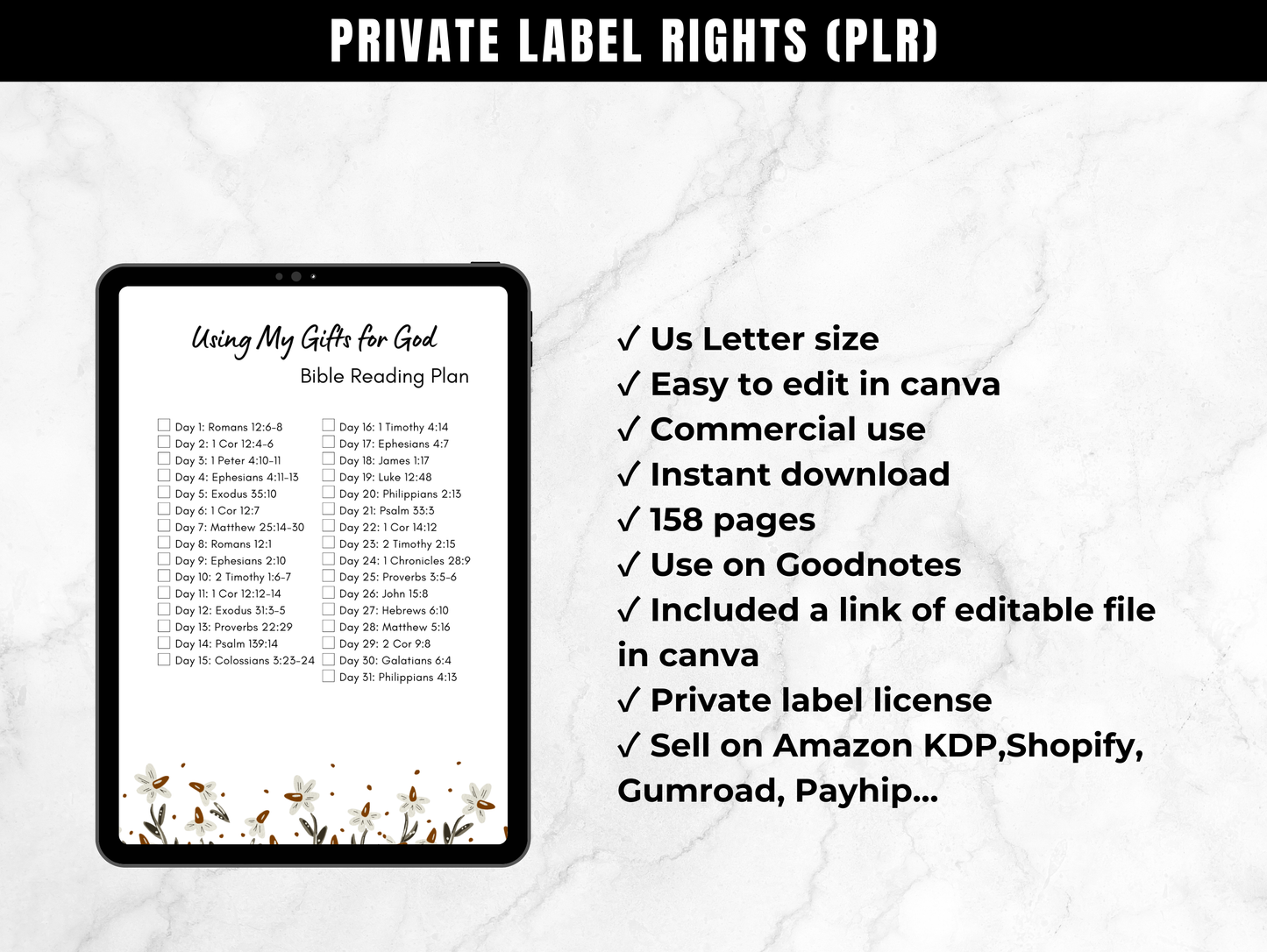 PLR Bible Reading Plan Journal