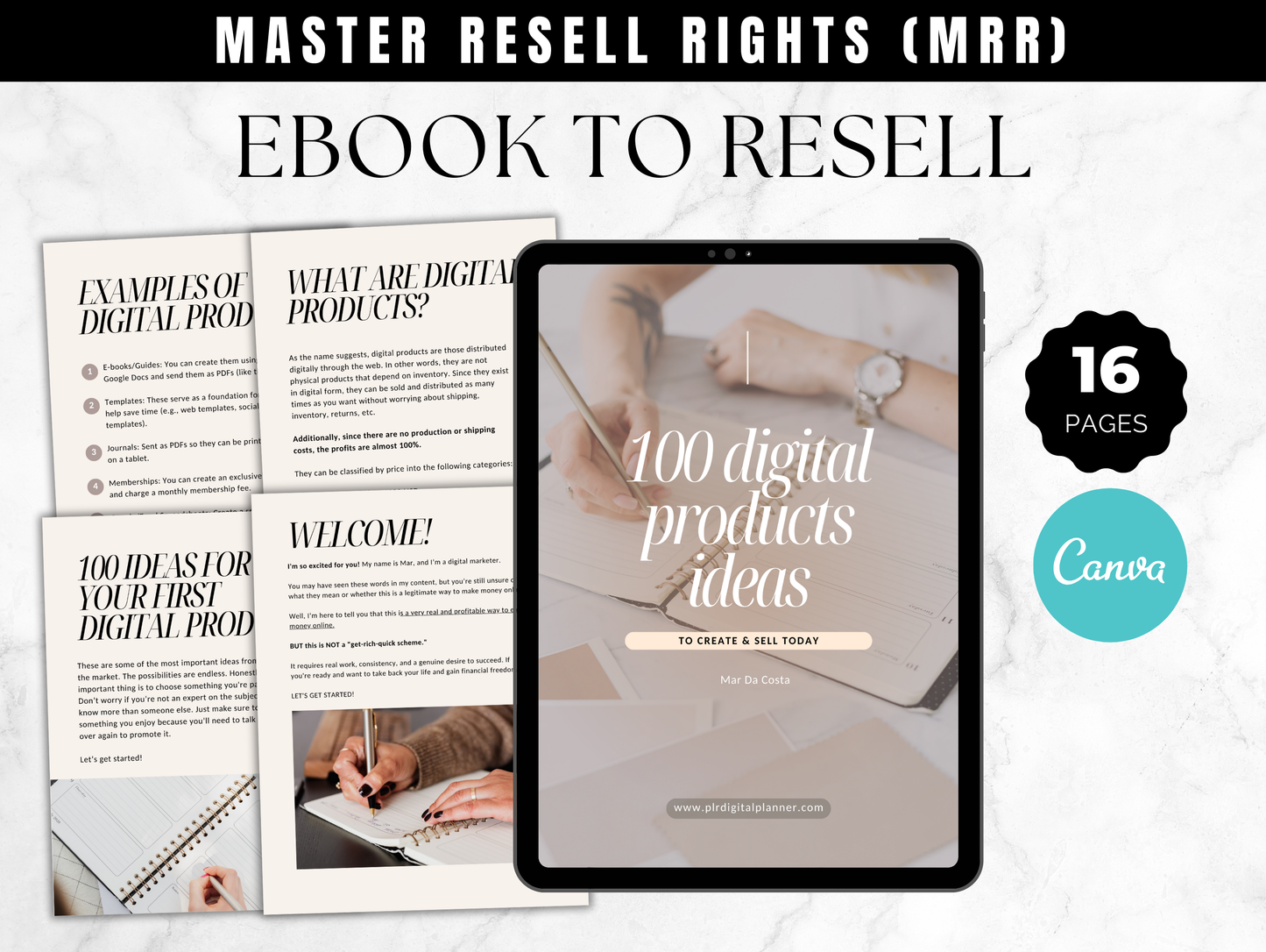 Master Resell Rights Guide: 100 Digital Products Ideas to create and sell today