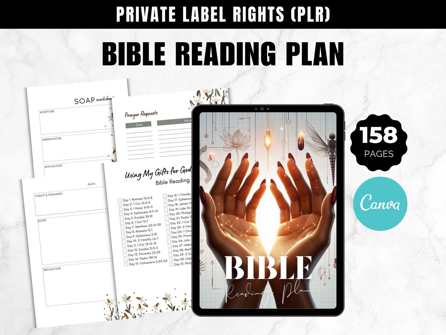 PLR Bible Reading Plan Journal