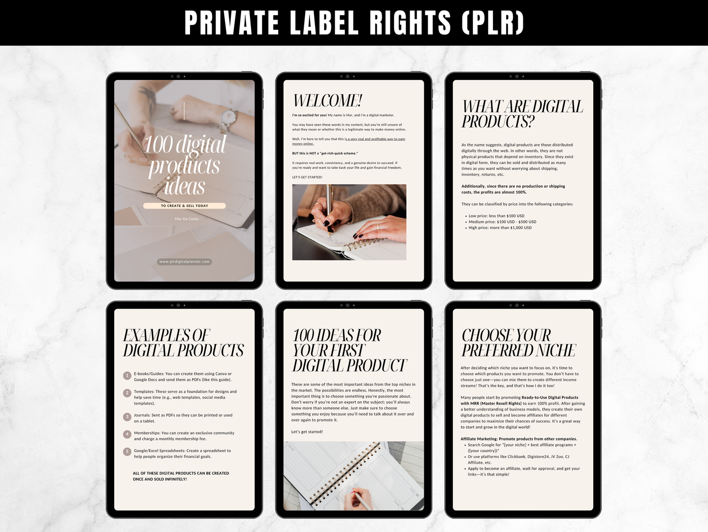 Master Resell Rights Guide: 100 Digital Products Ideas to create and sell today