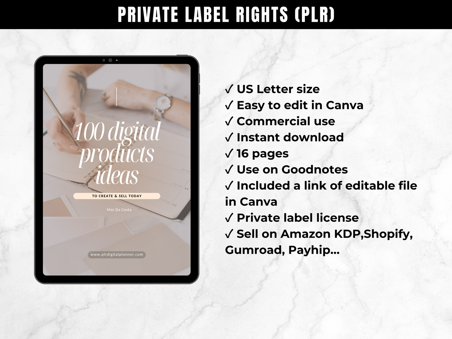 Master Resell Rights Guide: 100 Digital Products Ideas to create and sell today