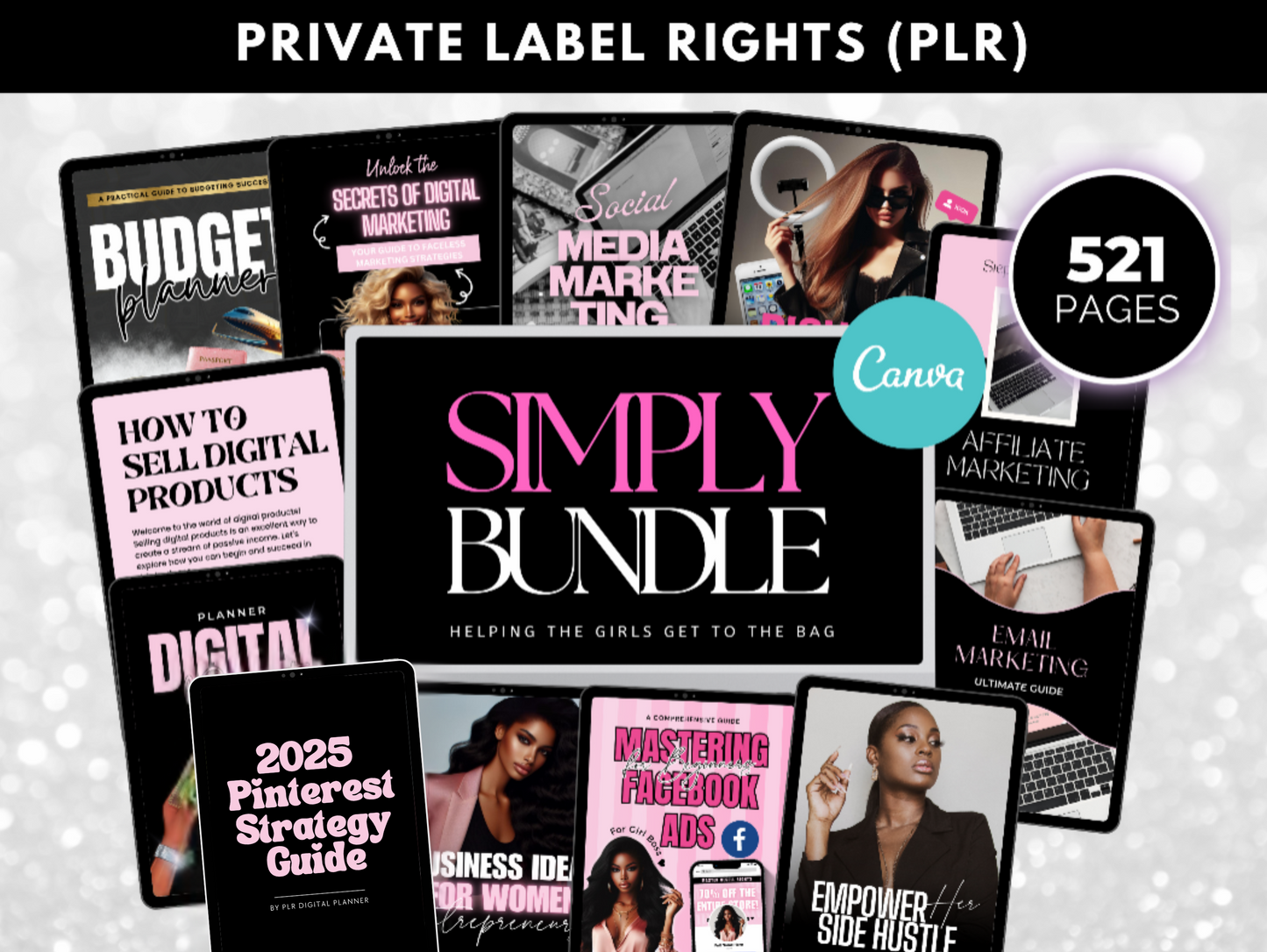 PLR Digital Marketing Course Bundle