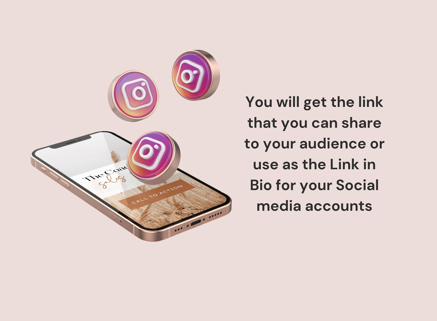 PLR Link in bio Instagram
