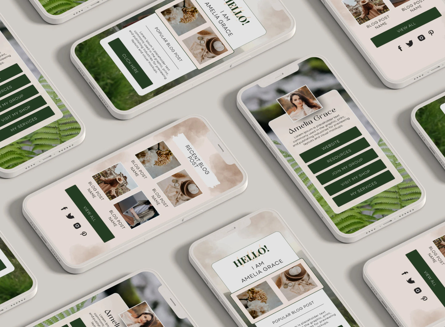 PLR Instagram Link In Bio Template