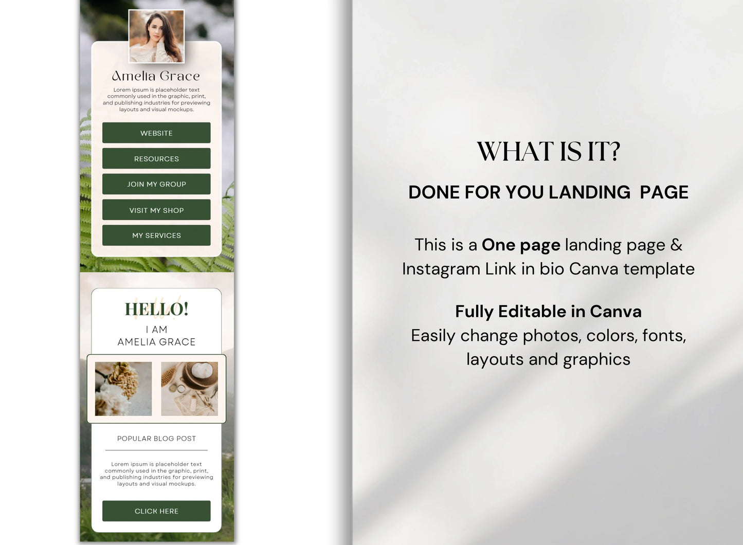 PLR Instagram Link In Bio Template