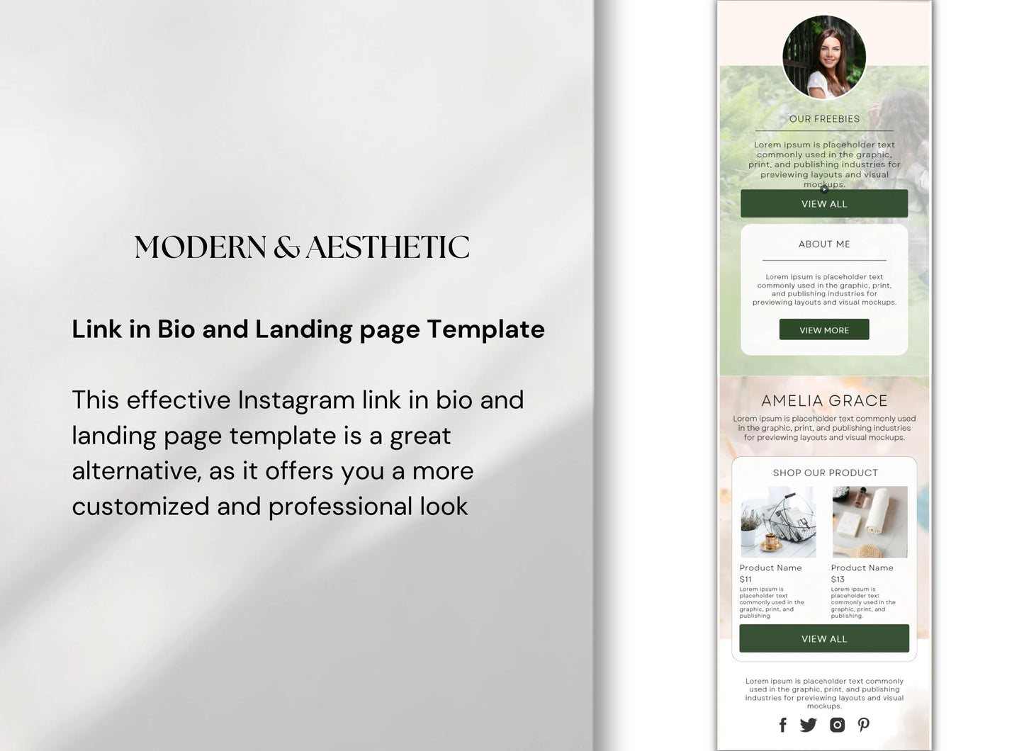 PLR Instagram Link In Bio Template