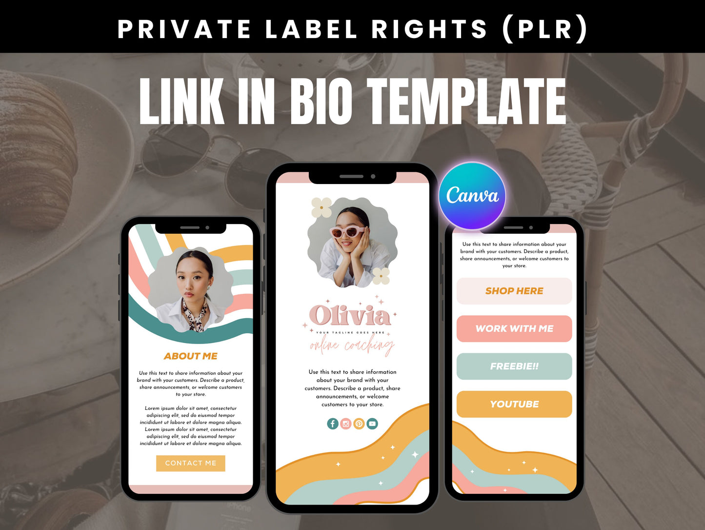 PLR Modern Instagram Link In Bio