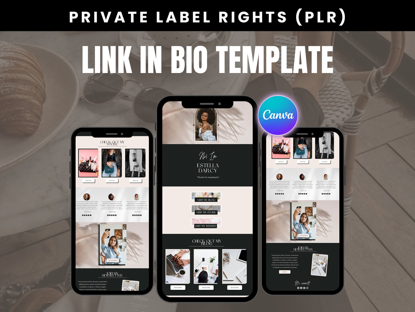 PLR Link in bio Instagram