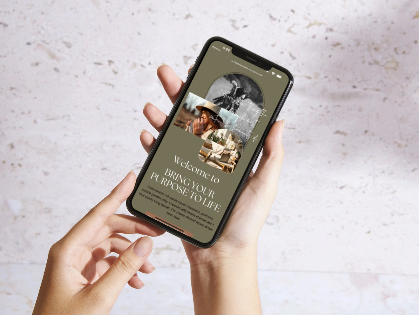 PLR Boho Instagram Link In Bio Template for Photographers