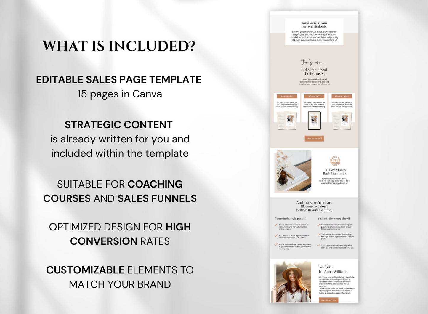 Canva Website Template