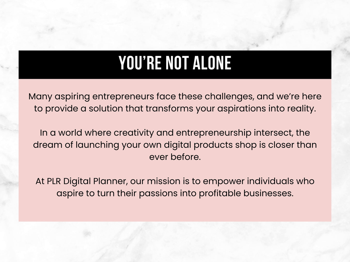 PLR Done-for-you Digital Products Bundle