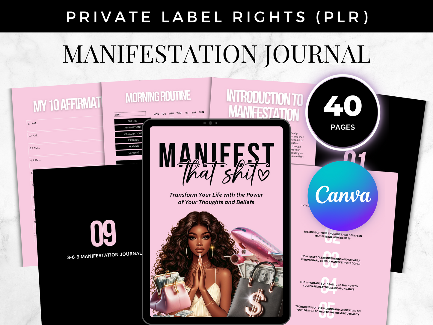 PLR How to Manifest that shit ebook
