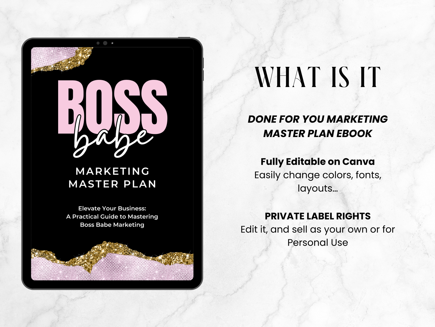 PLR Marketing Master plan ebook