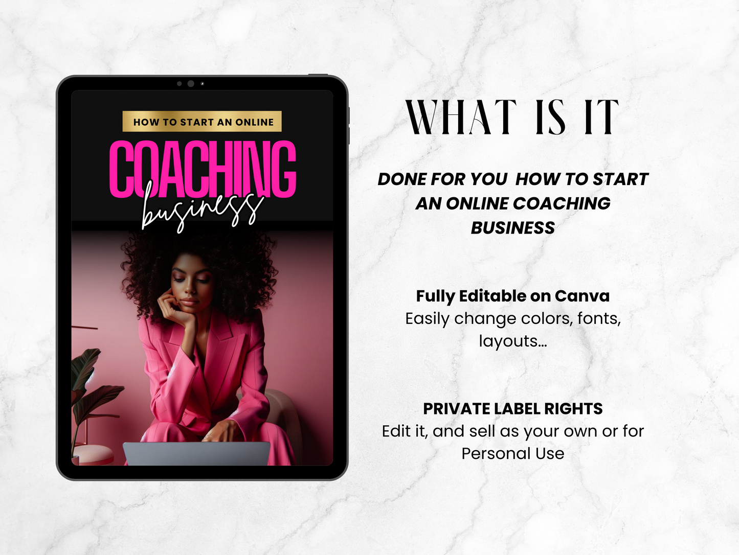 PLR How to start an Online Business Coaching guide