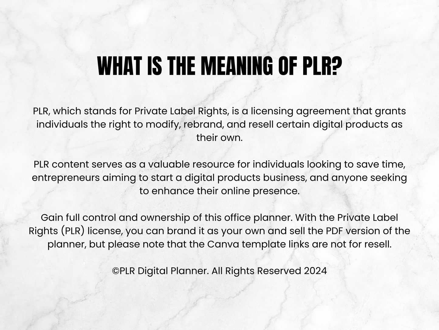PLR Marketing Master plan ebook