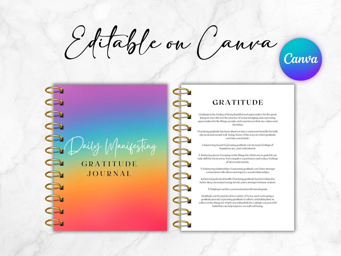 PLR Daily Manifesting Gratitude Journal