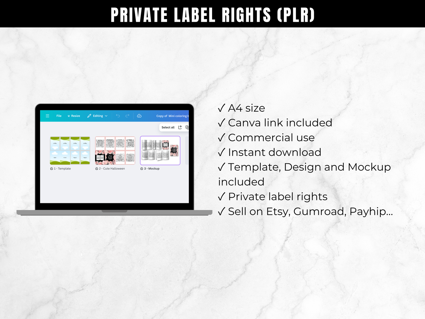 Mini Bible verse coloring booklet Template with PLR