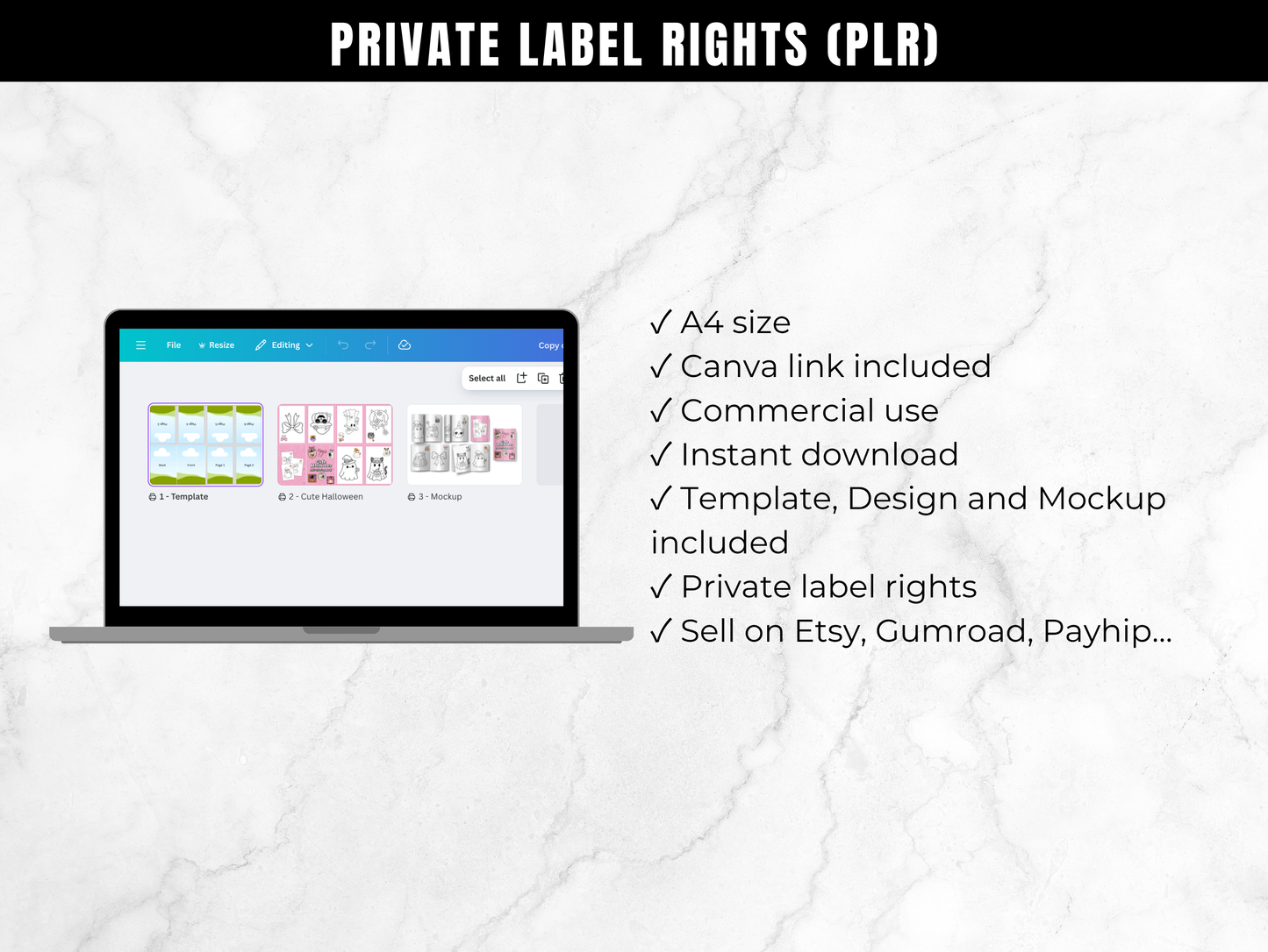 Halloween Mini Coloring Booklet Template with PLR