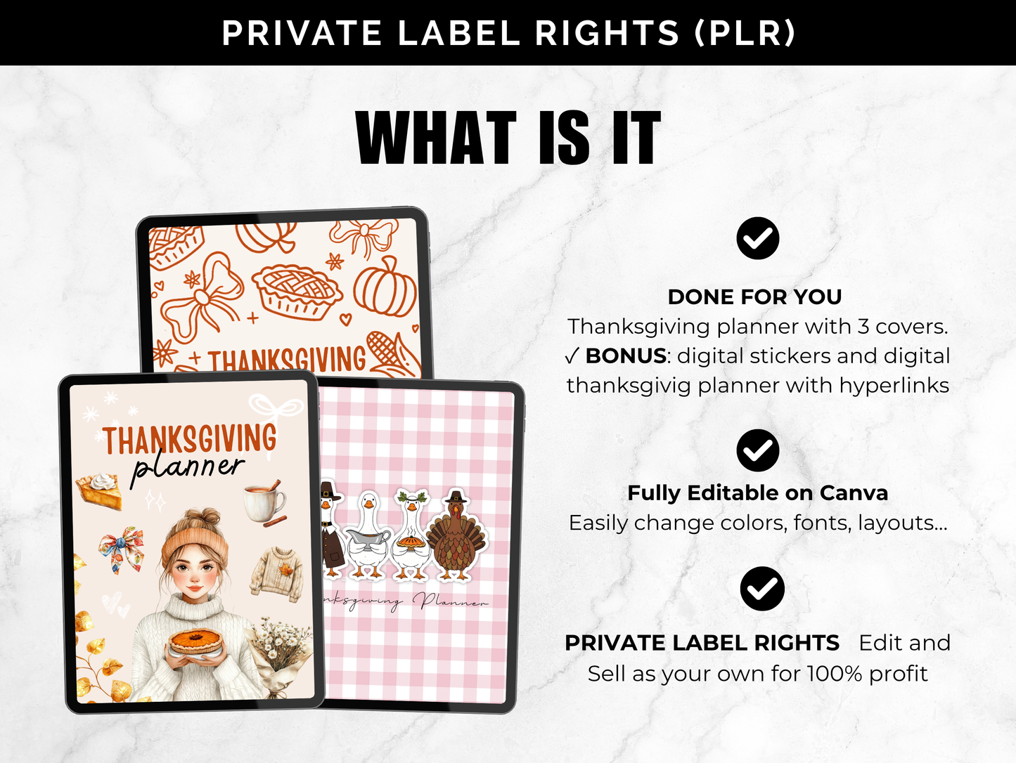 PLR Thanksgiving planner