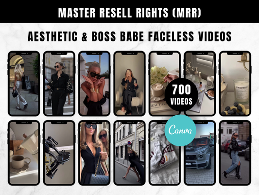 PLR and MRR 700 Faceless Aesthetic and Boss Babe Reels Bundle